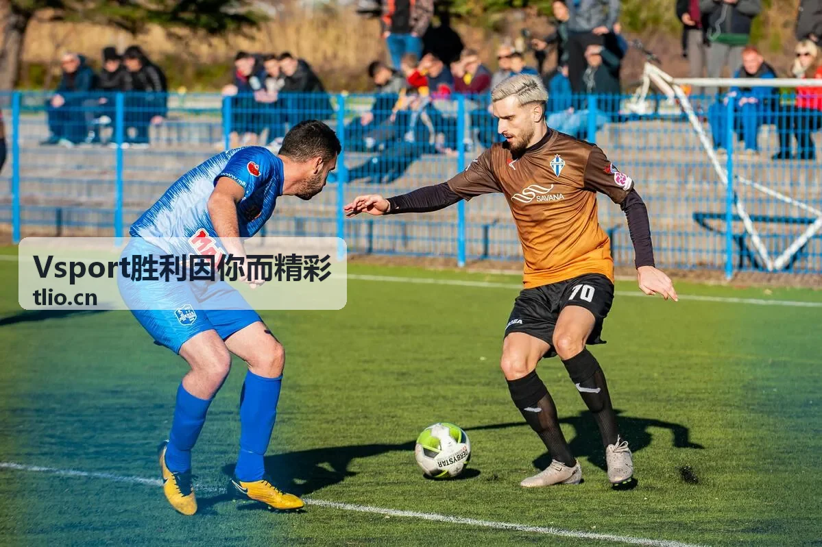 Vsport胜利因你而精彩 观众看台助威画面